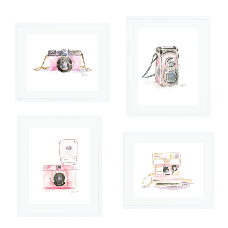 Pink Camera Series.png