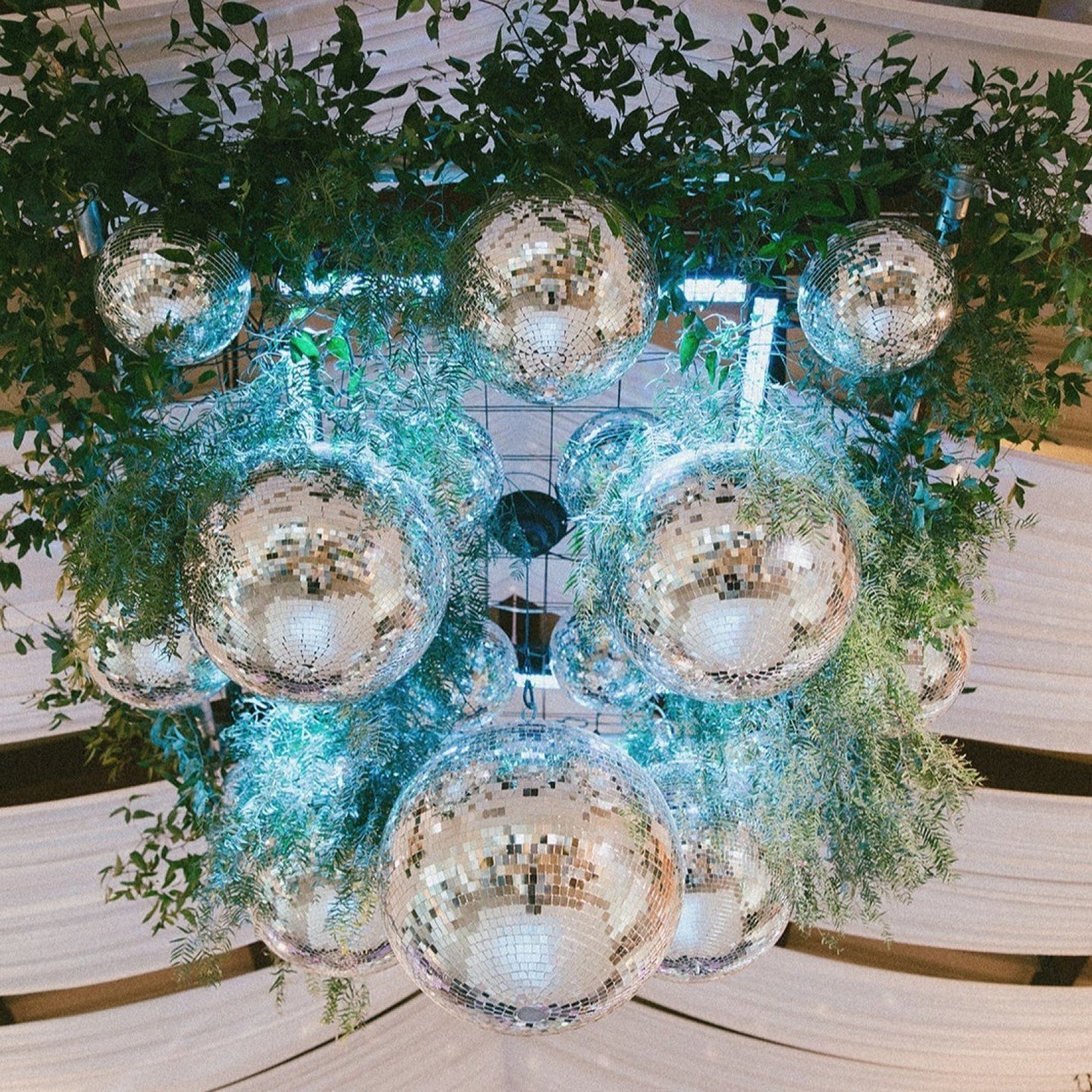 When your couple loves a disco ball, you build a disco ball chandelier in the ceiling complete with greenery. 🪩✨🌿

It's only been a little over a month and I miss Stephanie &amp; Andrew already 🥺

Vendors:
Wedding Planning &amp; Design @eventsbywc