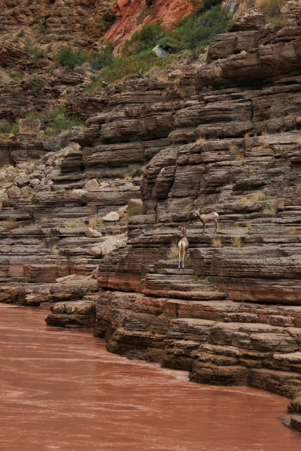 Blog — Katherine Halama