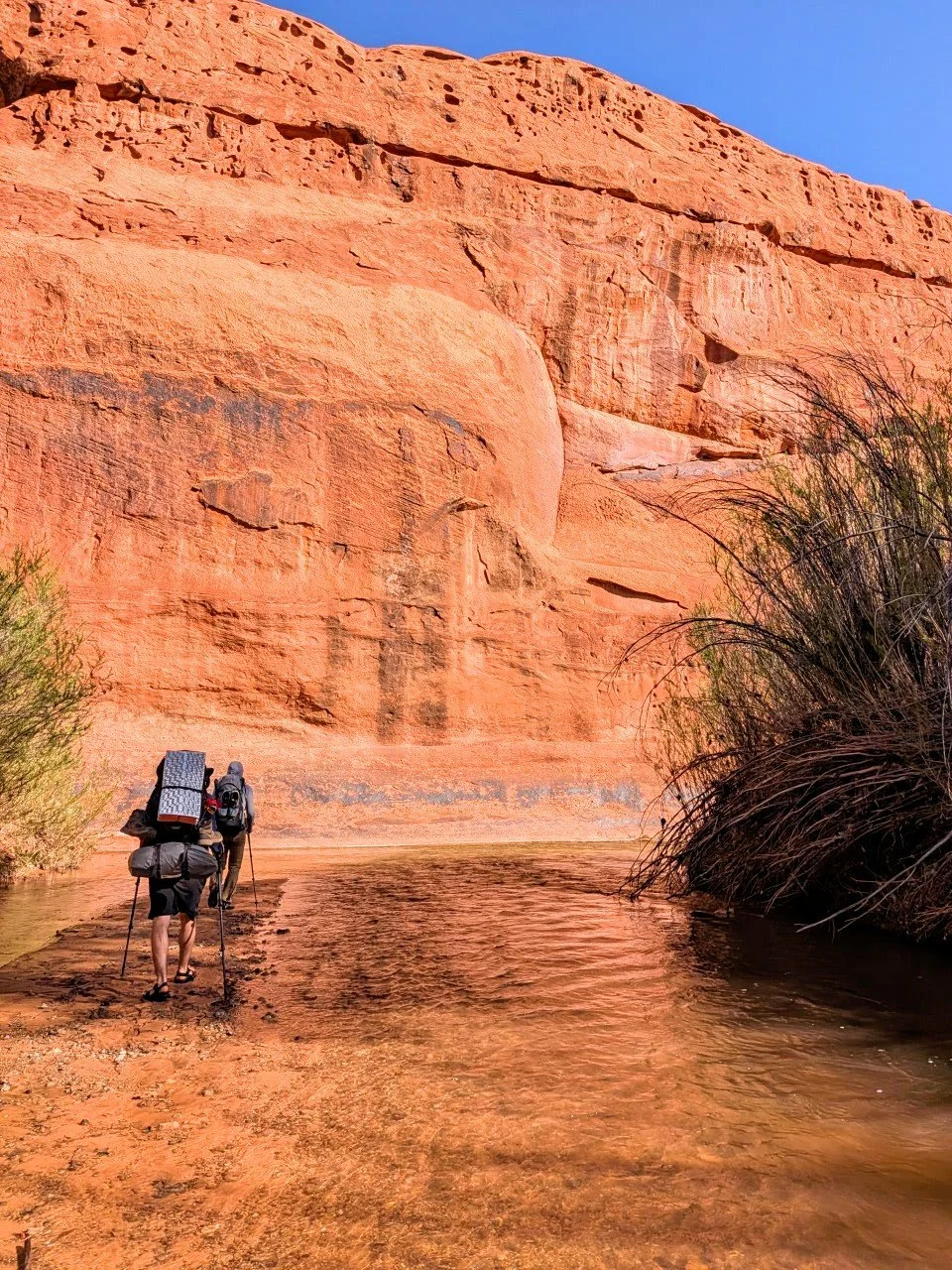 Wading through the Escalante River