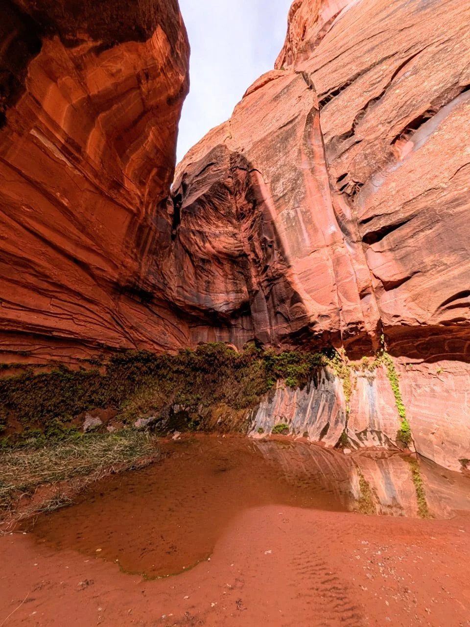 Baker Canyon - a side hike from the Escalante River