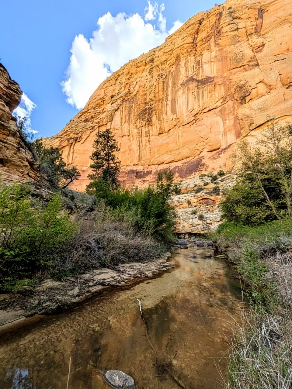 Death Hollow accessed from the Boulder Mail Trail