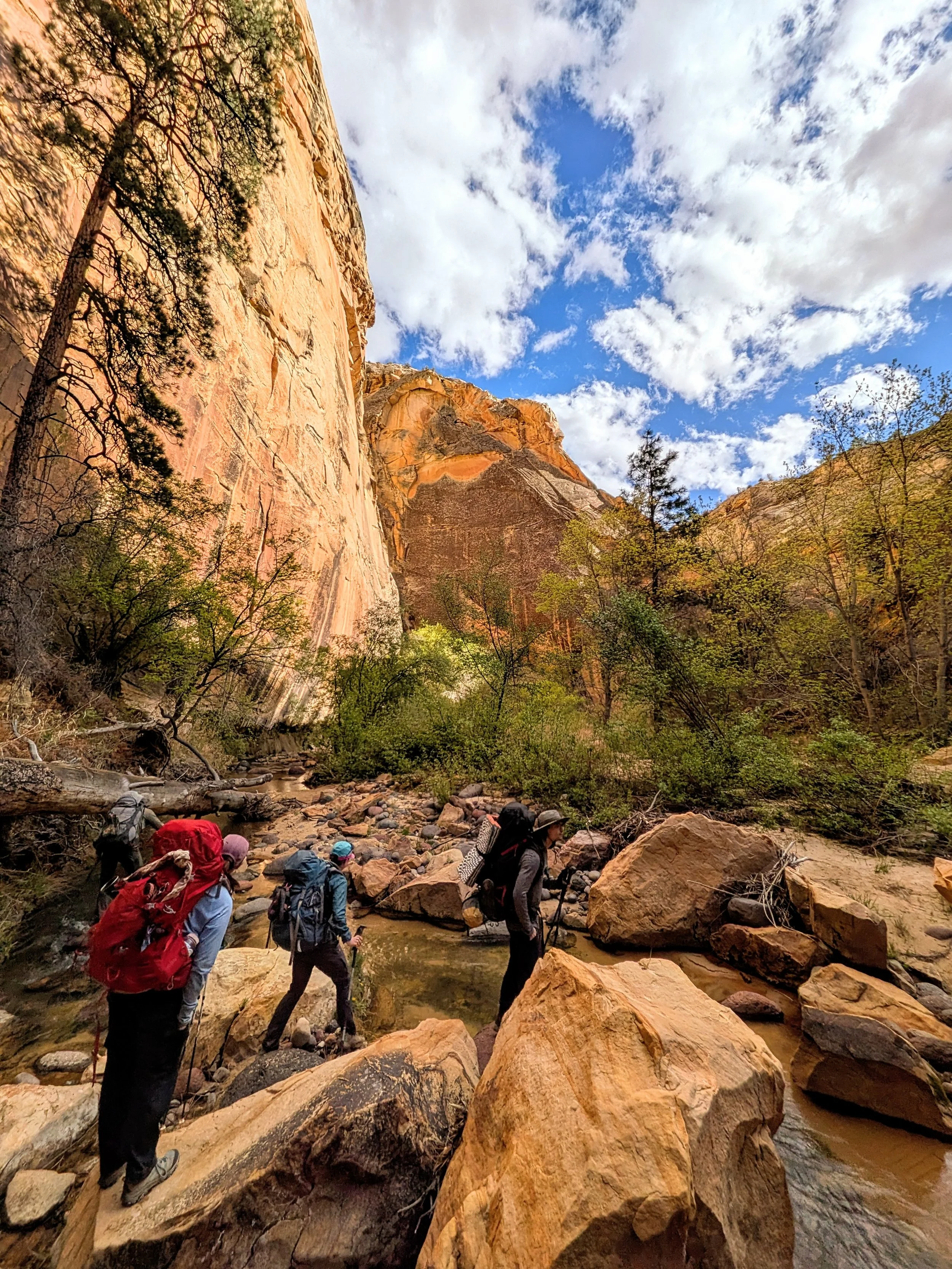 Death Hollow, accessed from the Boulder Mail Trail