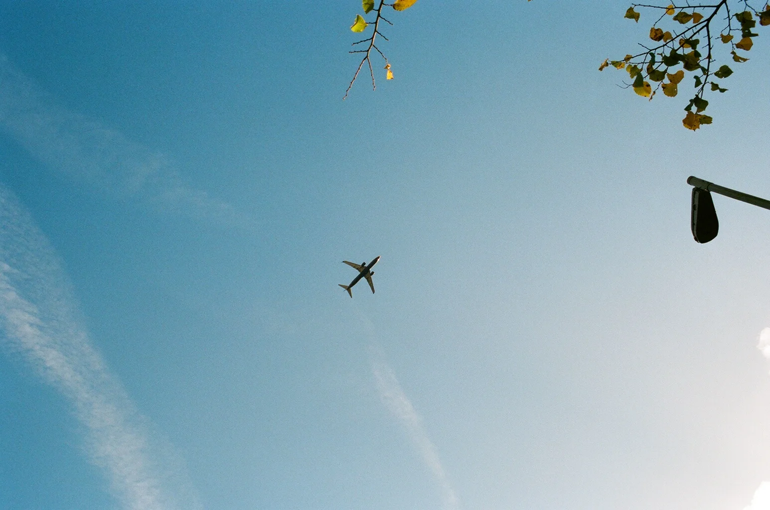 LU1-66810028.jpg