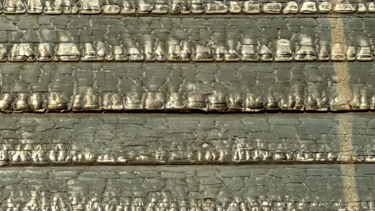 The charred siding of our house. 