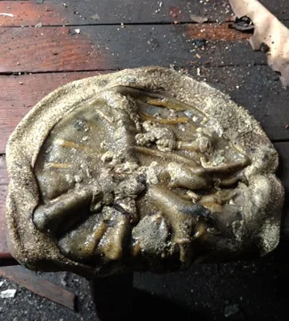 Melted plastic, or foe from space?