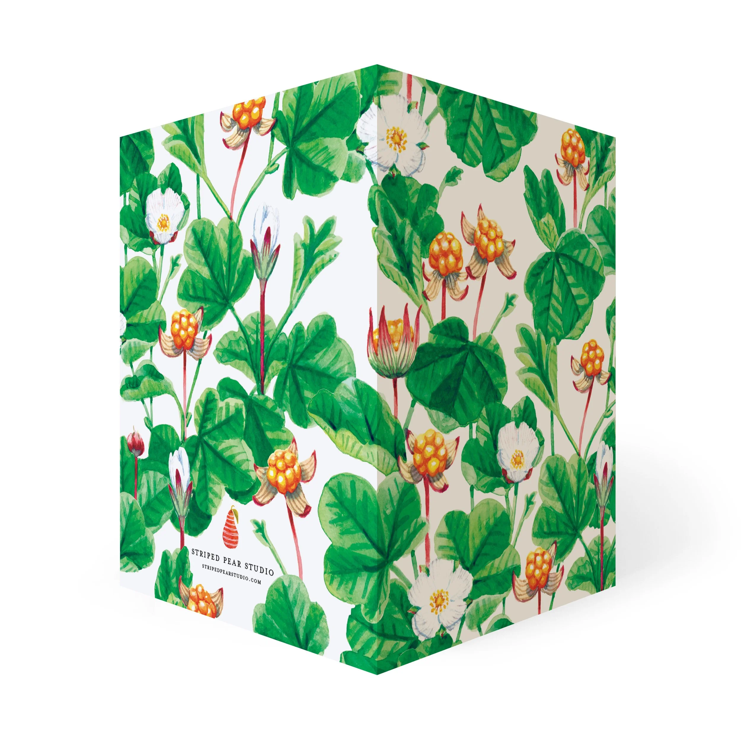 Berry_cloudberry_card_square_RGB.jpg