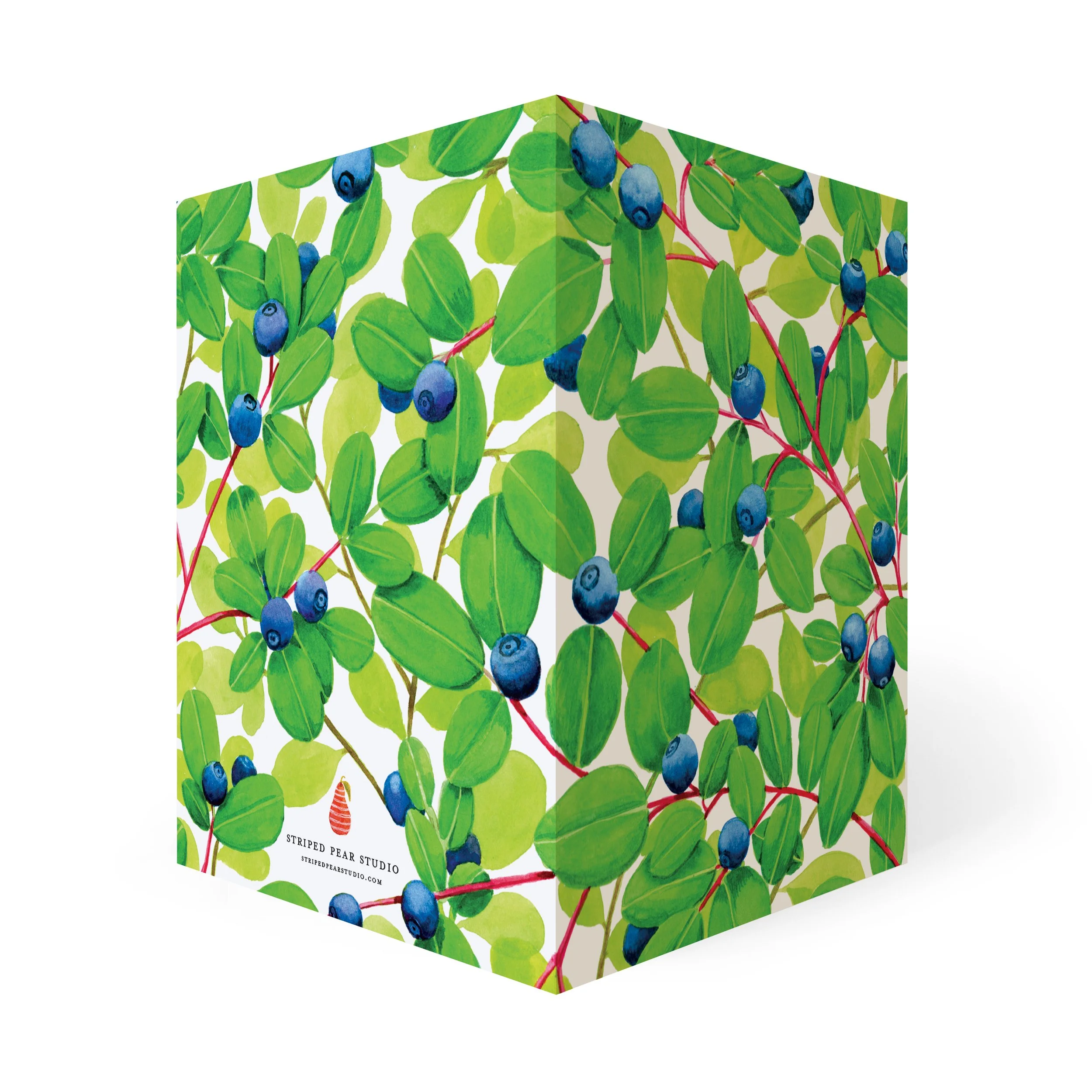 Berry_blueberry_card_square_RGB.jpg
