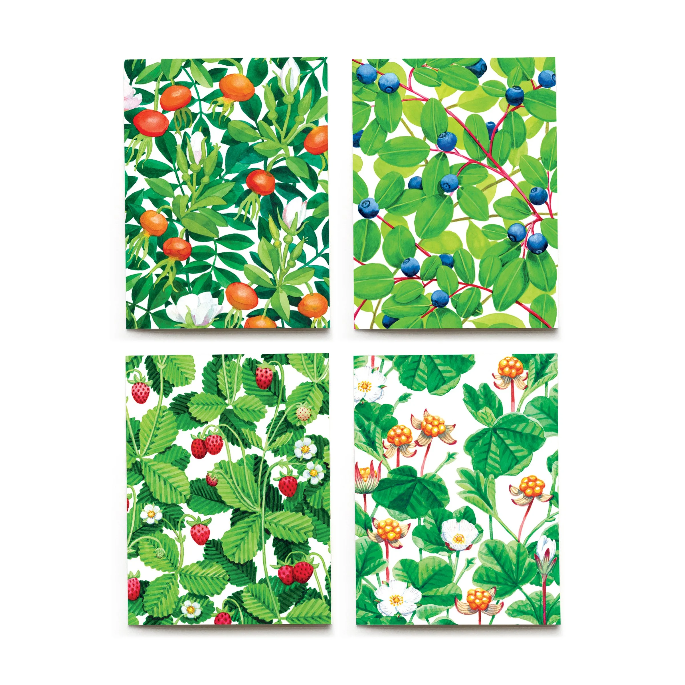Berry_4_Card_Fronts_square_RGB.jpg