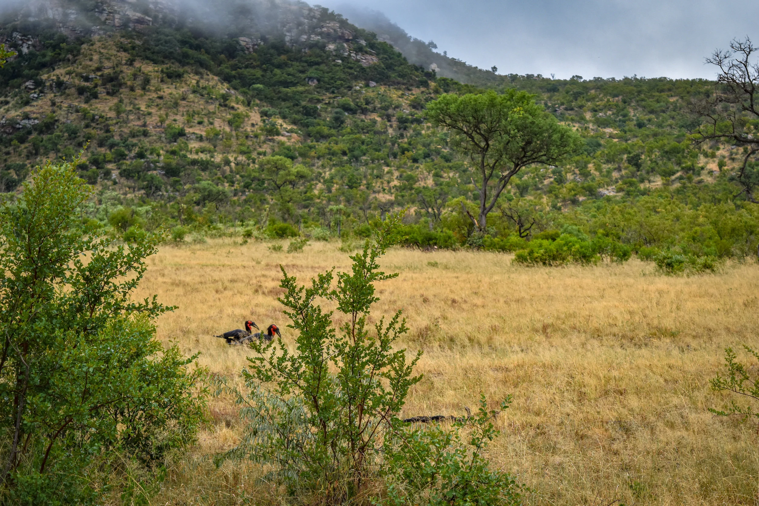 DSC_0390.jpg