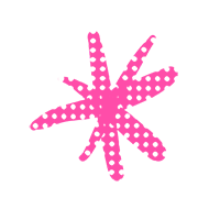 star2.png