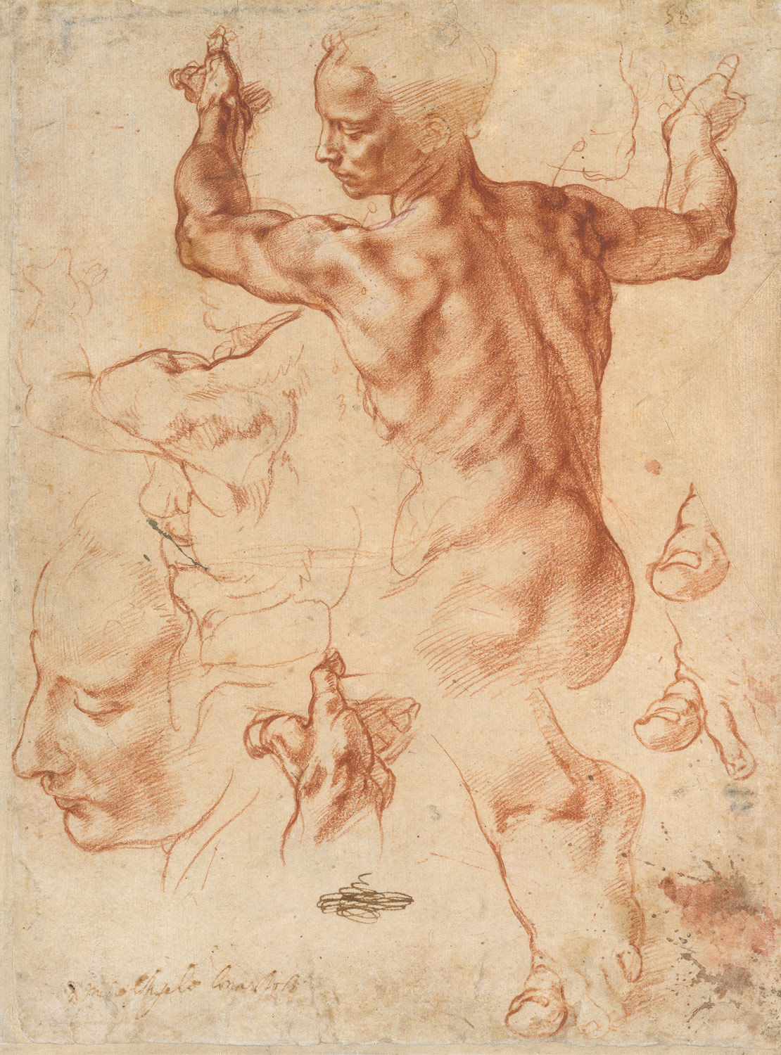 Michelangelo, Studies for the Libyan Sibyl, ca. 1510–11, Metropolitan Museum of Art, New York