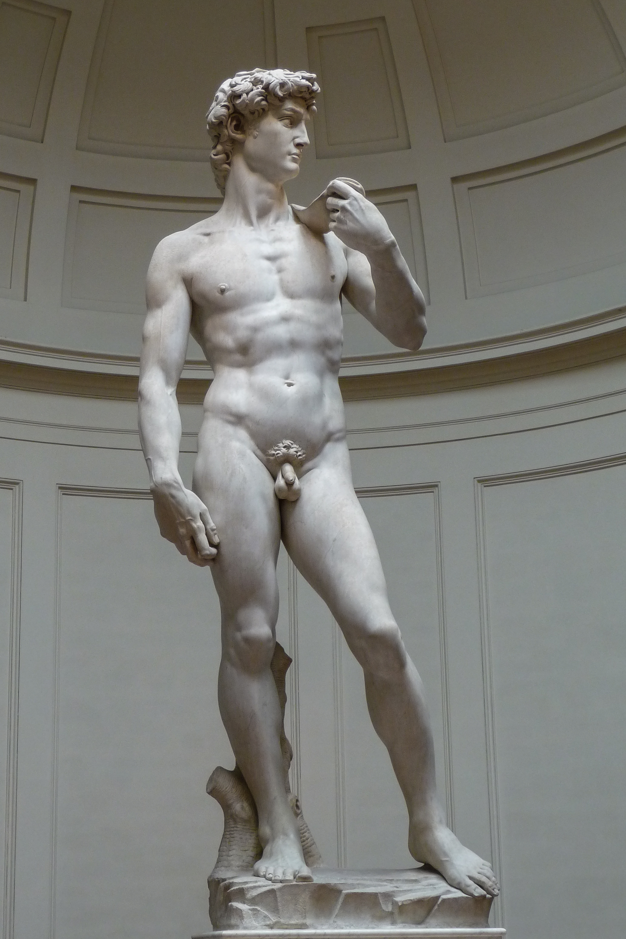Michelangelo, David, 1501-1504, Galleria dell'Accademia 