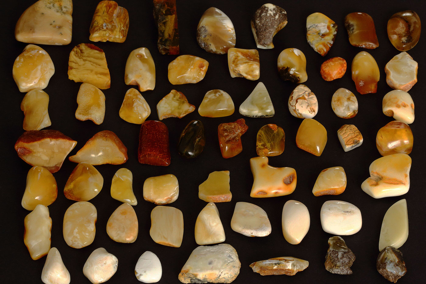 Copy of Baltic amber samples with varying color and clarity. Image courtesy of Wikimedia Commons user By PrinWest Handelsagentur J. Kossowski - Own work, CC BY 3.0