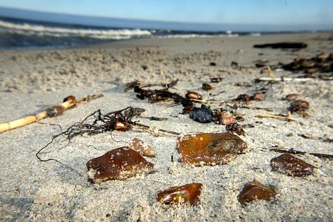 Baltic Amber