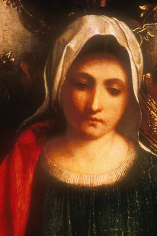 Detail of the Castelfranco Madonna, based on Cecilia (Copy)