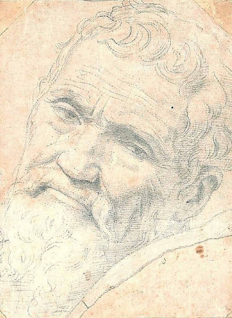 Daniele de Volterra, Portrait of Michelangelo, 1533