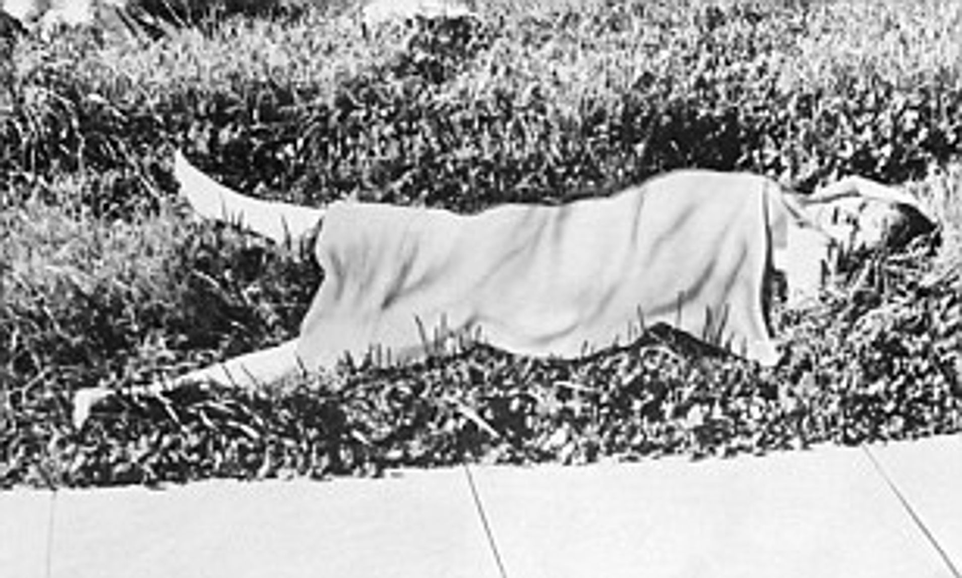 True Crime/Fine Art: Man Ray and the Black Dahlia Connection/ArtCurious ...