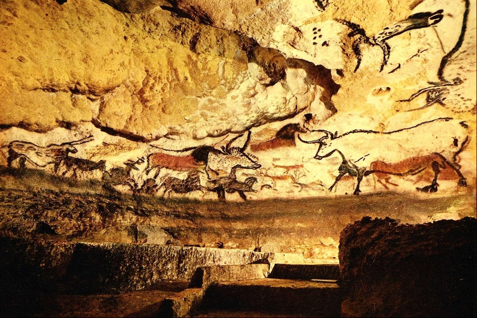 Cows, horses, and bulls painted in black lines on a cave wall 