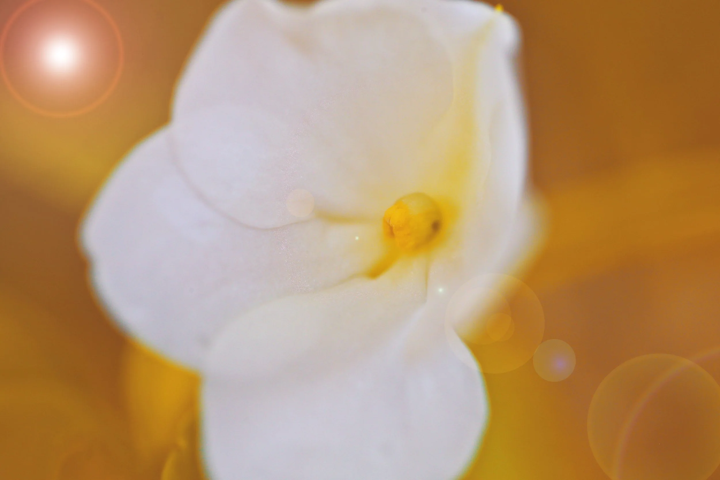 55.jpg