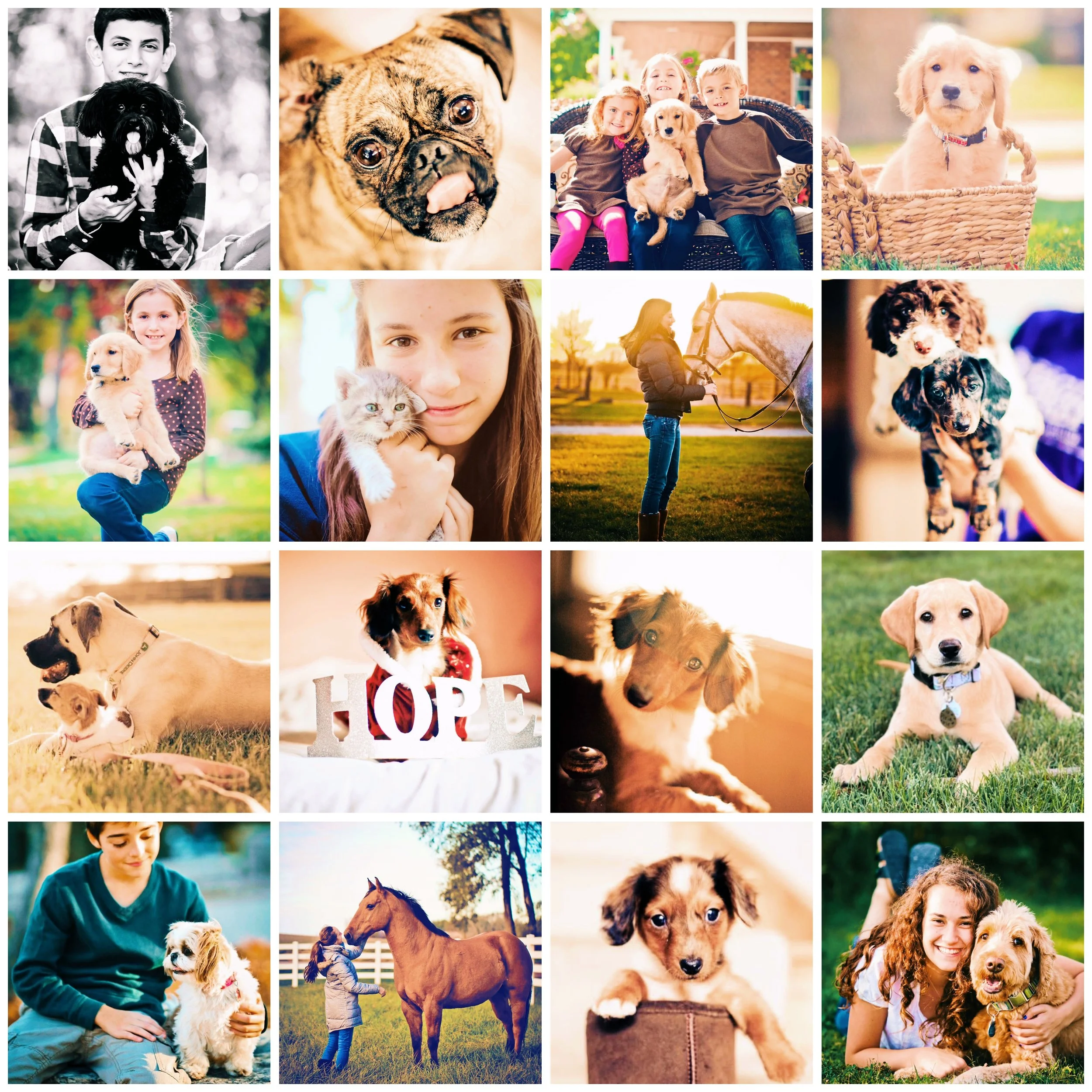 collage_export_B2491C3F-C57D-45F8-ACFC-B8514145406A.JPG