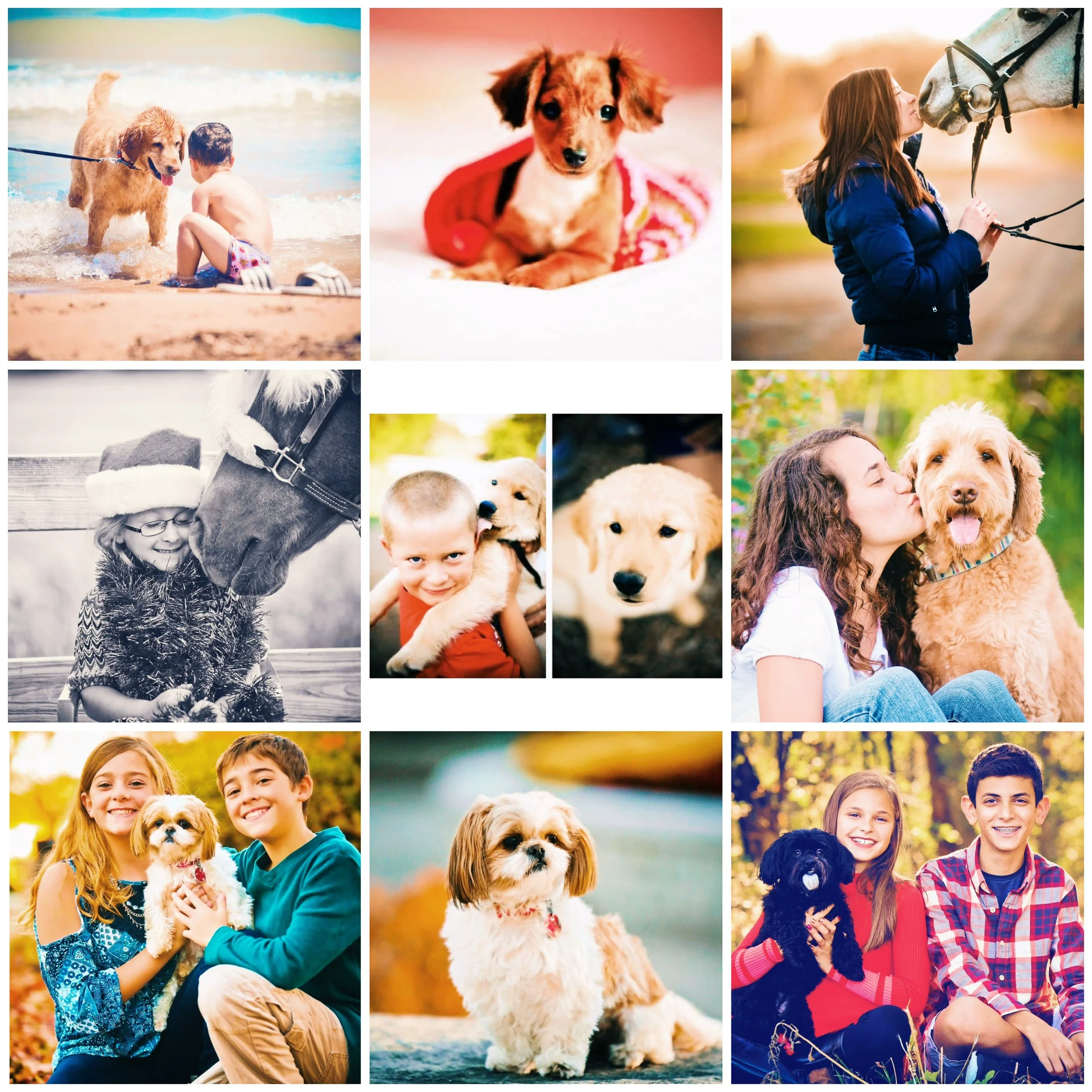 collage_export_E0F6D682-6088-4BE8-8AB7-939CB515DC87.JPG