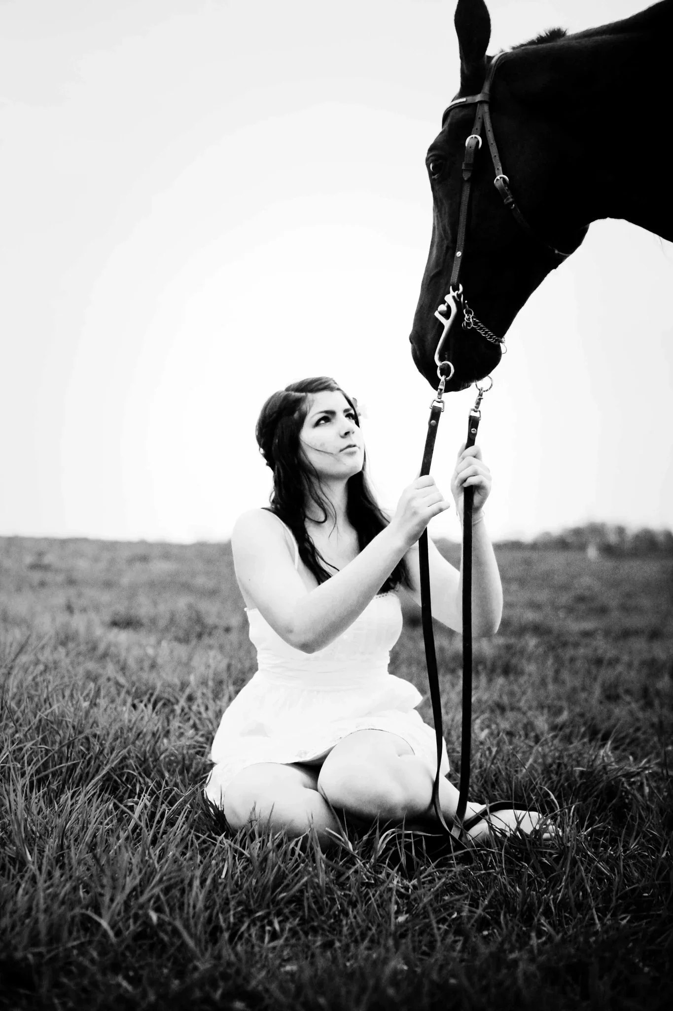 Equine Love