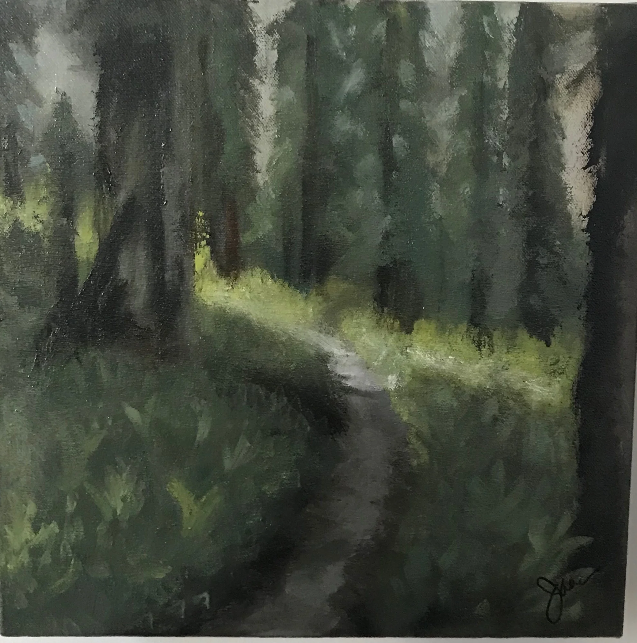 Light My Path 12x12d F