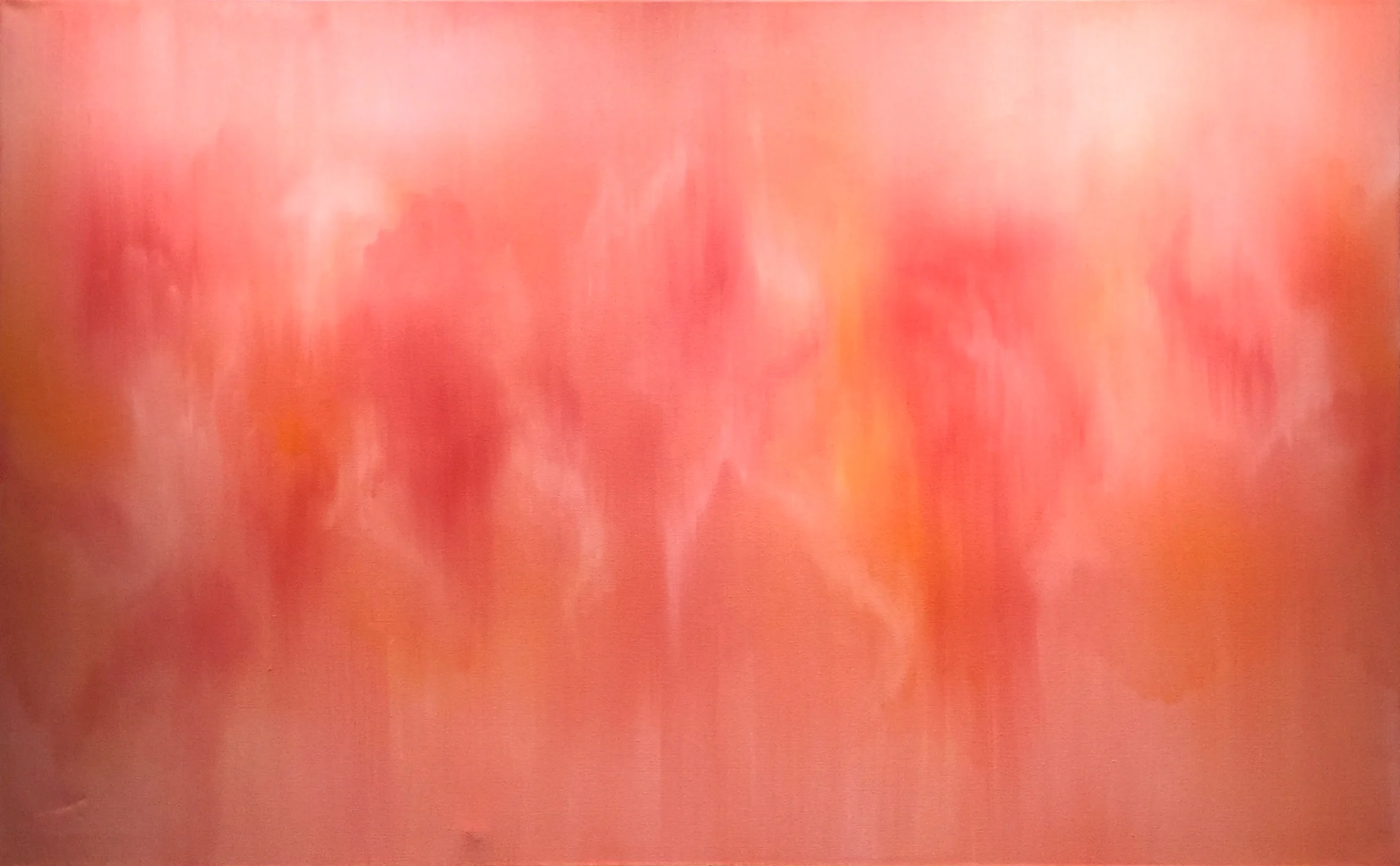 "Godetia" 30" x 48"