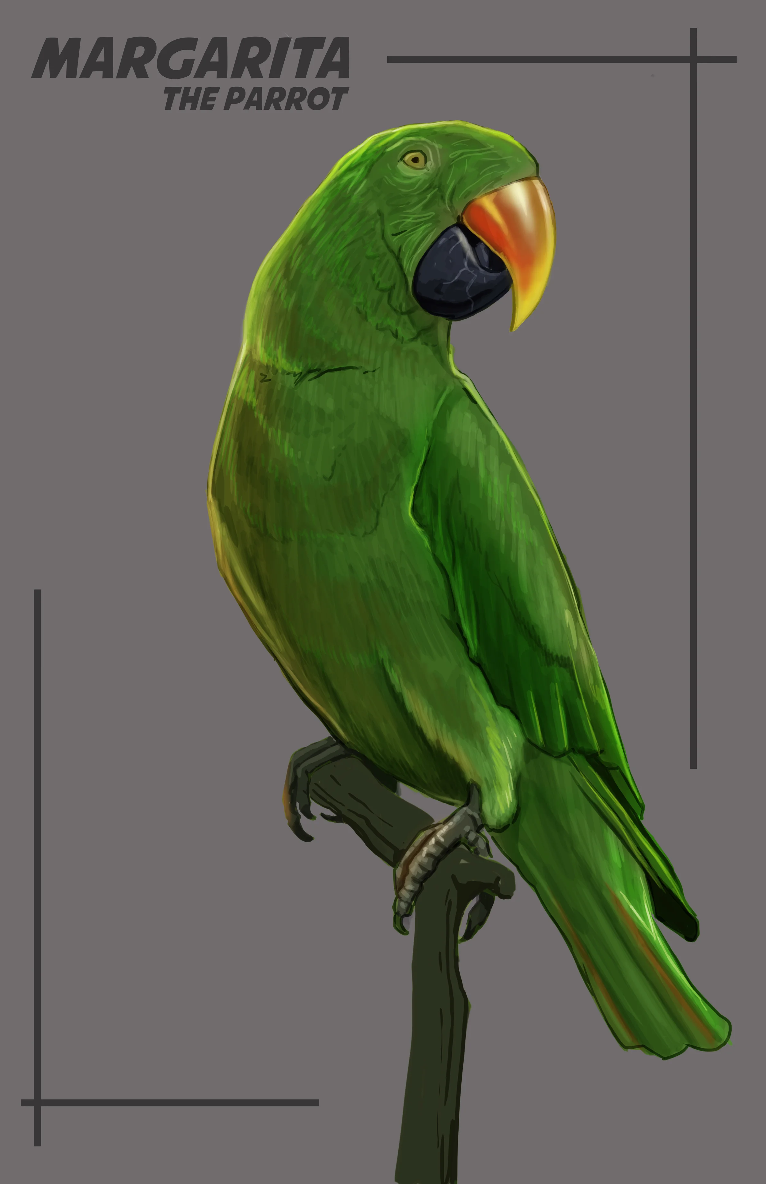 Margarita the Parrot.jpg