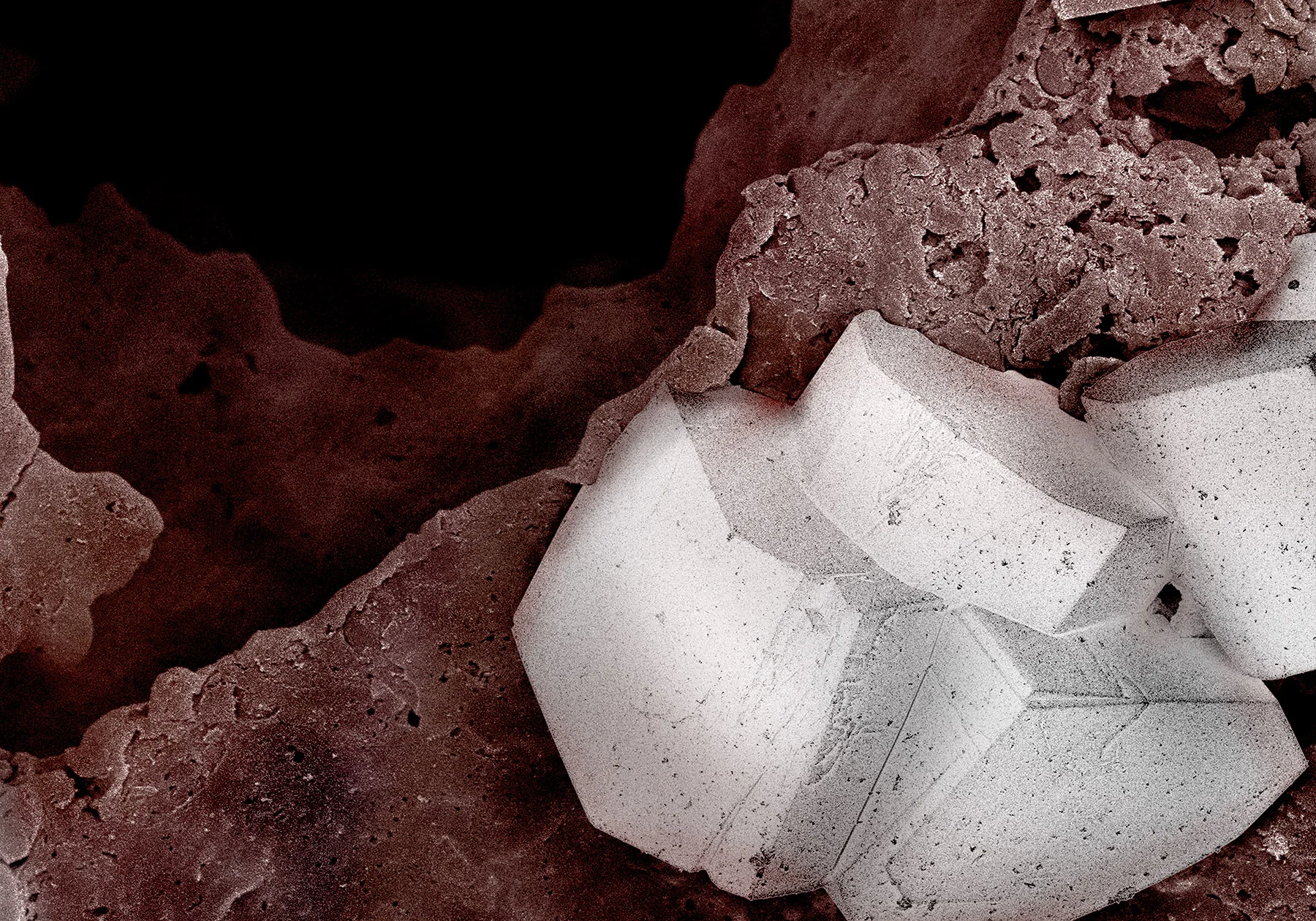 terra cibus no.2: chocolate cake 2 320x magnification
