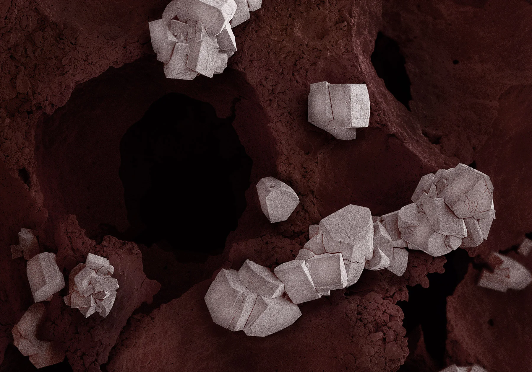 Alpert_terra_cibus_no_17_chocolate_cake_1.jpg