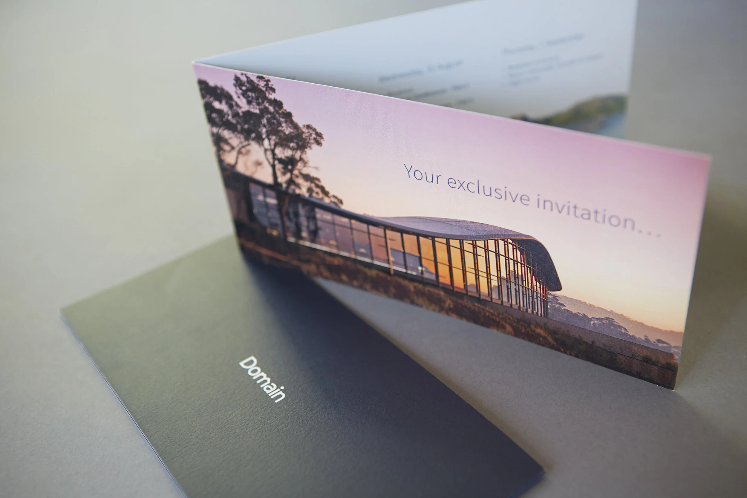 DOMAIN DIRECT MAILER