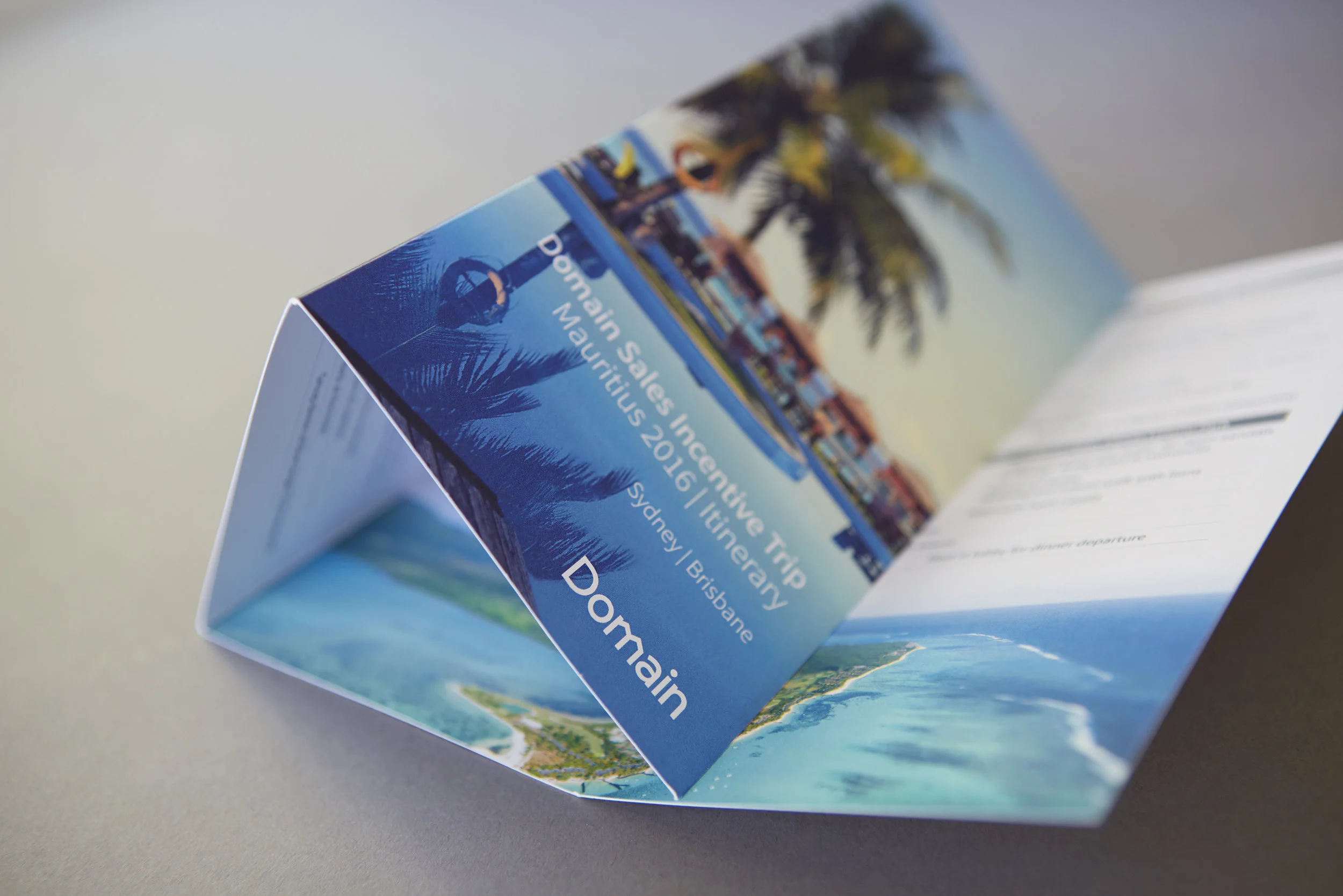 DOMAIN SALES INCENTIVE BROCHURE