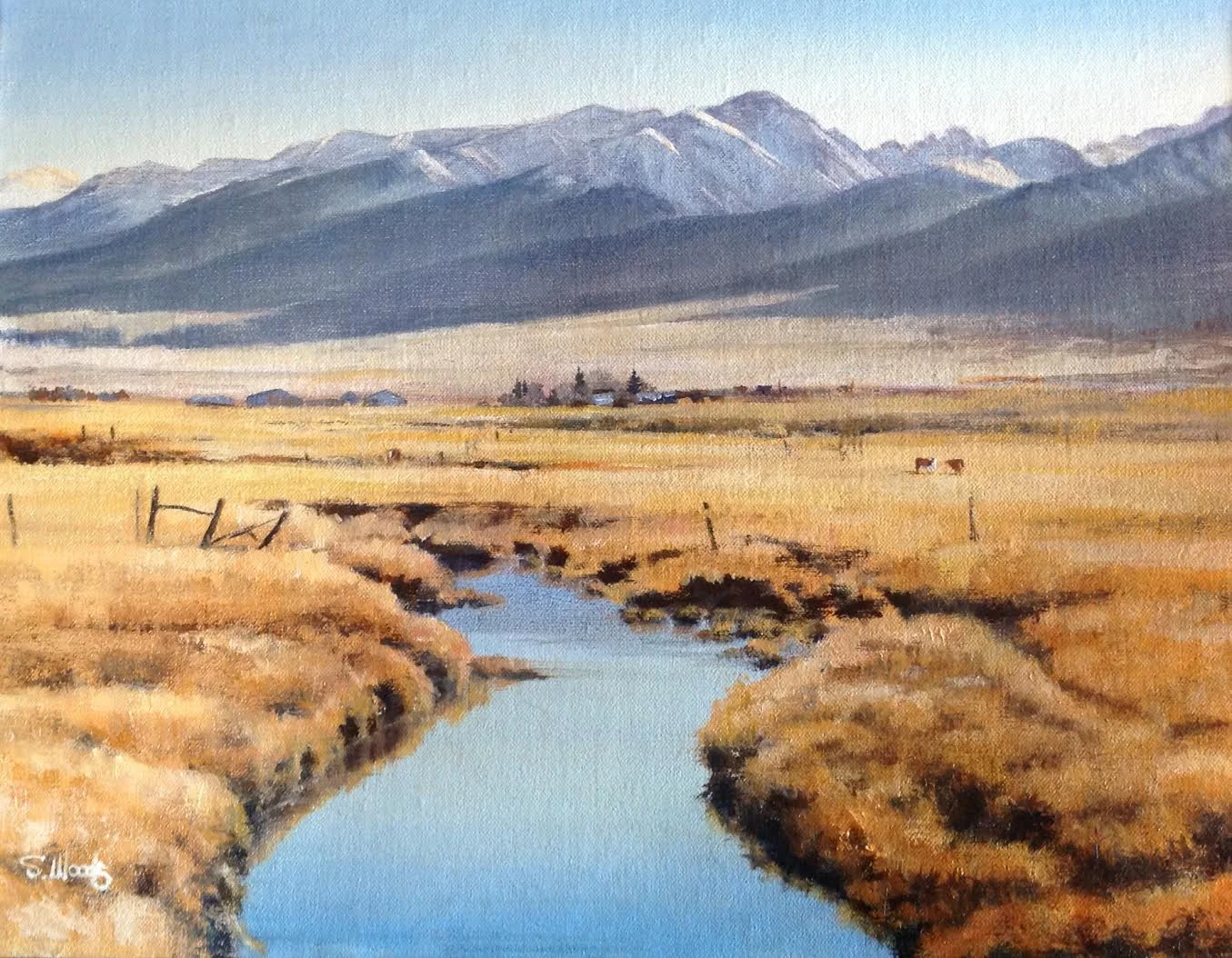Still Waters