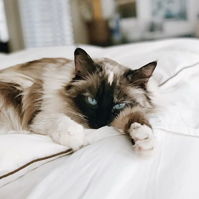 Basically this is what I want to be doing all weekend.