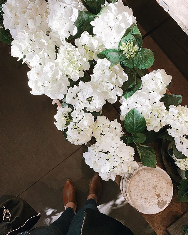 There’s something about white hydrangeas. I can’t wait to live in a house with a garden so I can grow all my favorite flowers.
