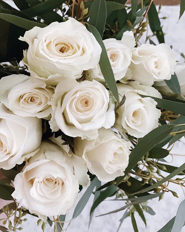 White roses and eucalyptus will forever be my favorite combination. Feeling ready for the week with a fridge full of groceries and a few flower arrangements around the apt.