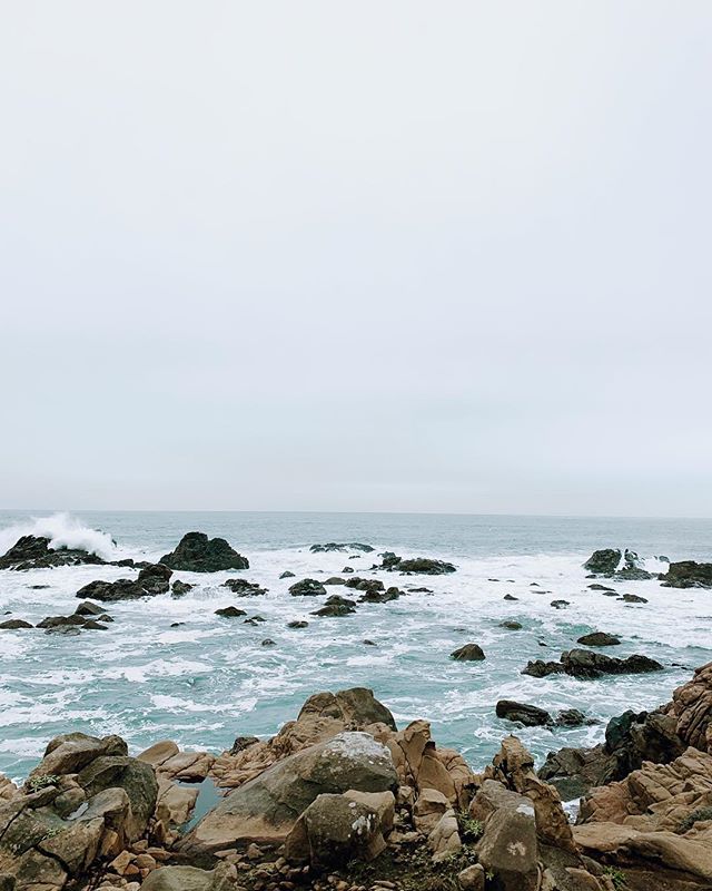 36 hours in Timber Cove now live on the blog. Including the best crab sandwich I’ve ever had 🦀