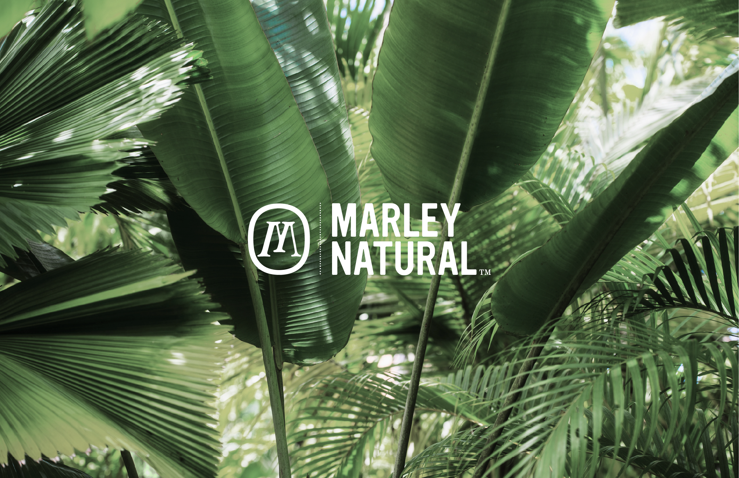 Marley Natural™ | Print + Digital Ads