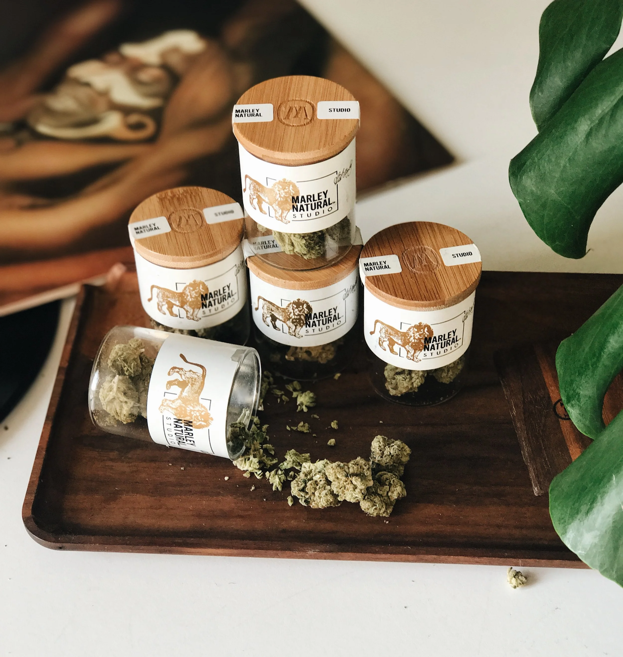 Marley Natural Studio™ | Branding