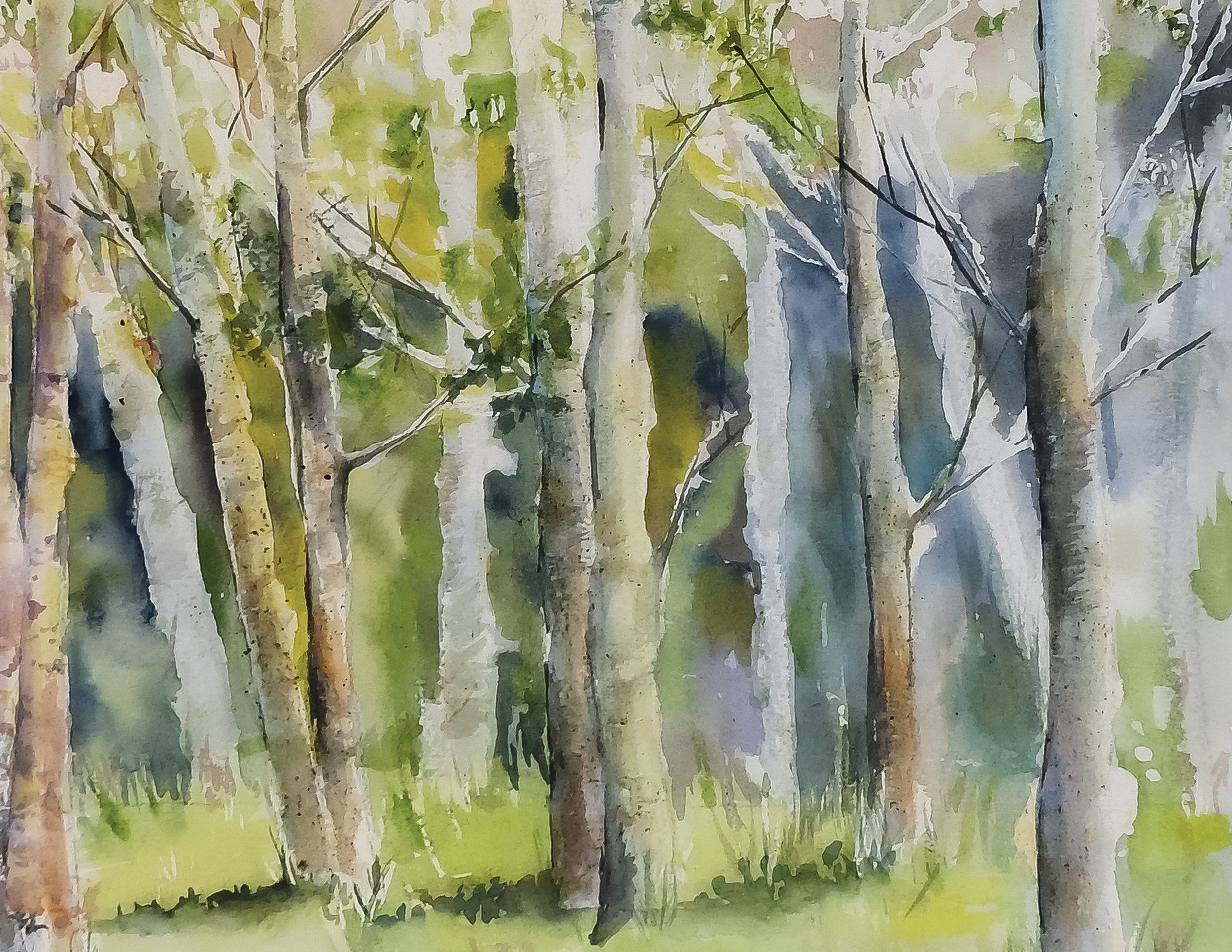 Forest-test-print.jpg
