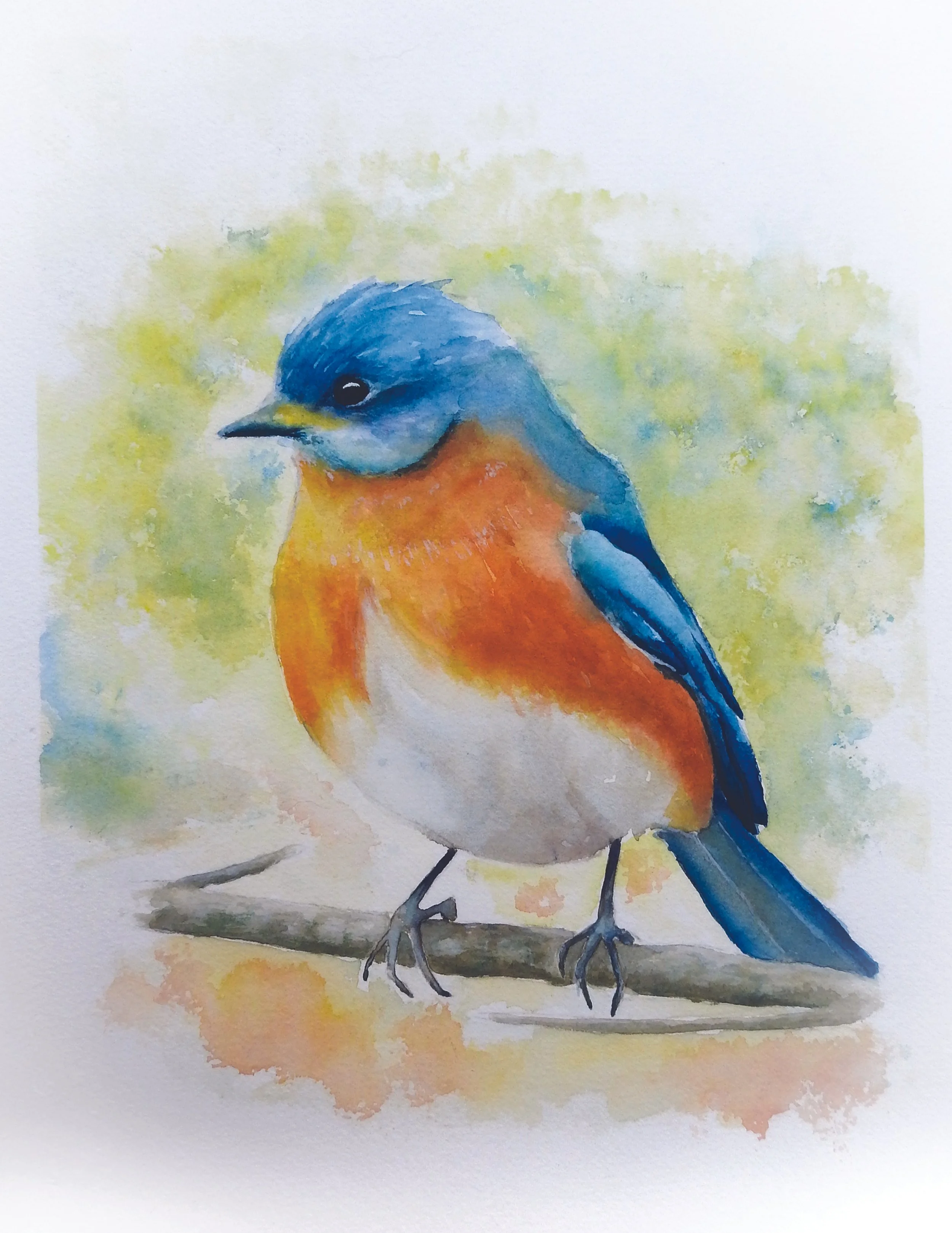 Bird Branch.jpg