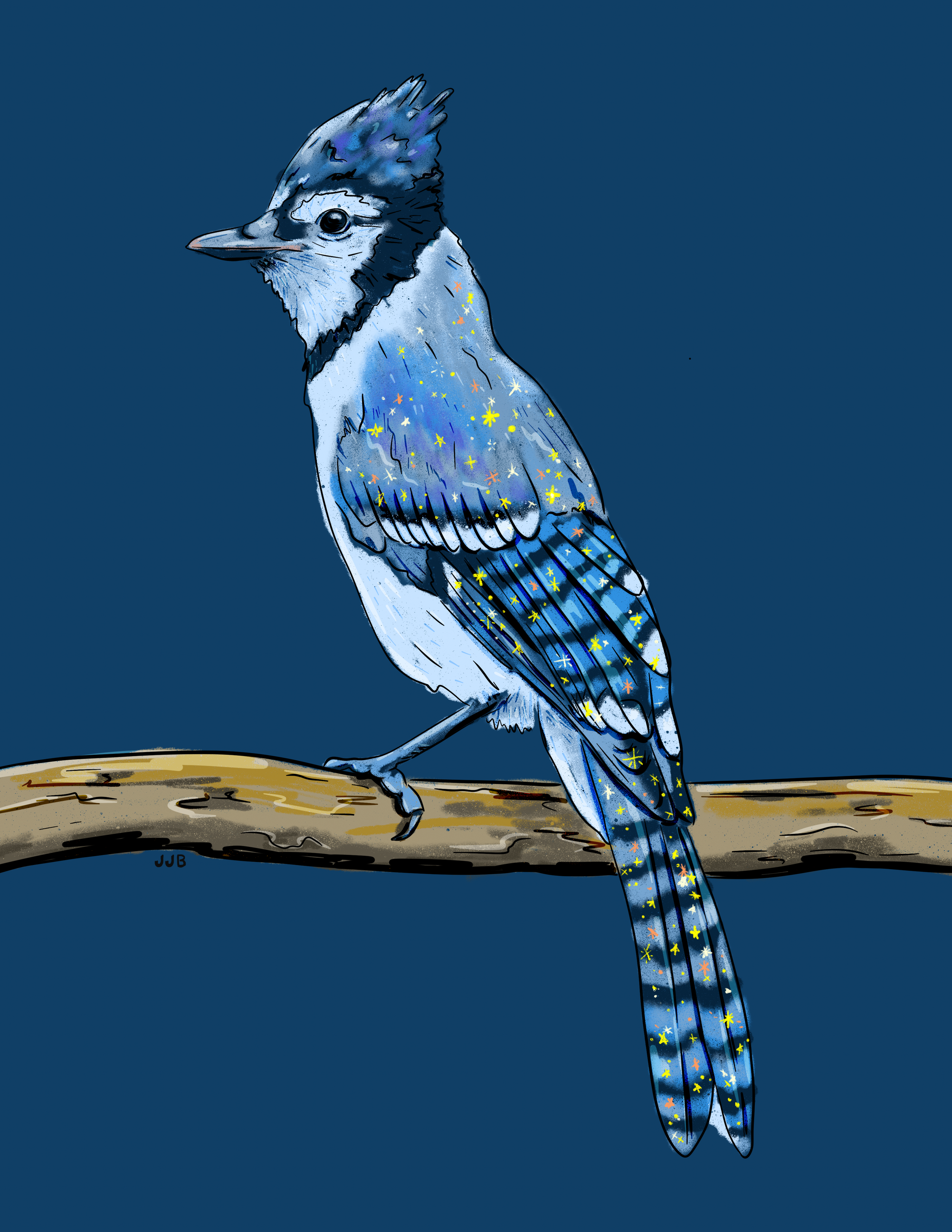 bluejay85_11.png