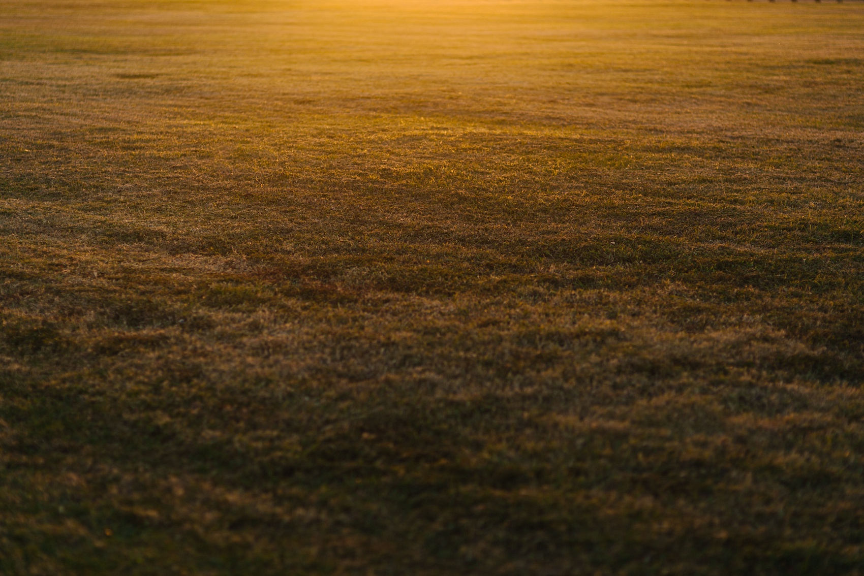 davis islands engagement photos-9.jpg