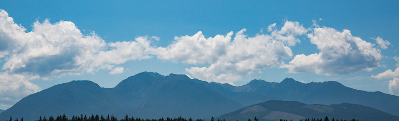 how to do a west coast road trip 052.jpg