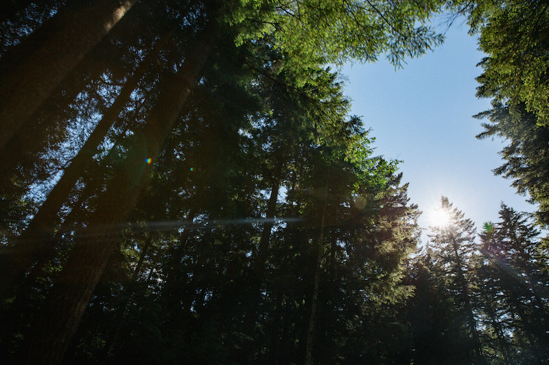 how to do a west coast road trip 066.jpg
