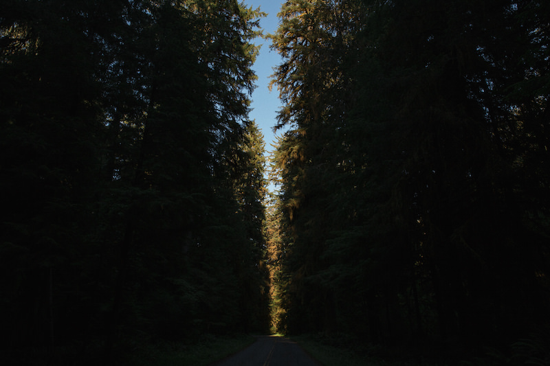 how to do a west coast road trip 070.jpg