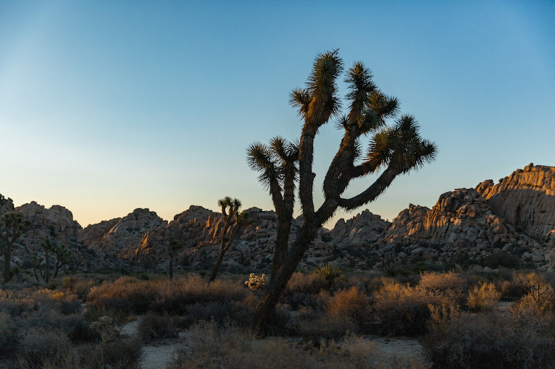how to do a west coast road trip 377.jpg