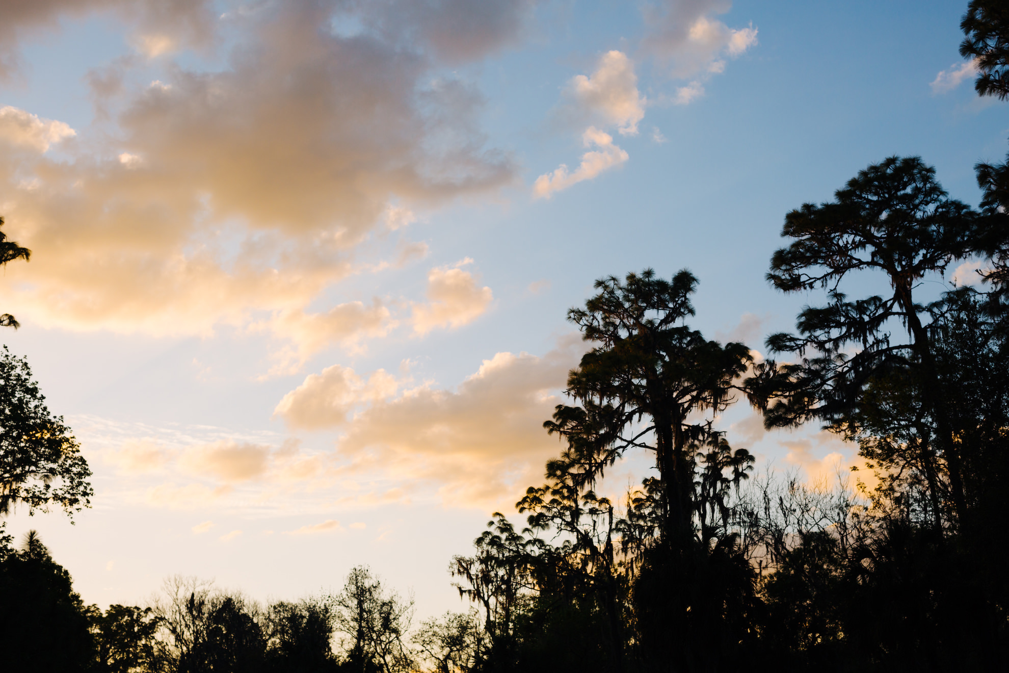 Hillsborough River State Park Engagement Photos by Jake & Katie Photography